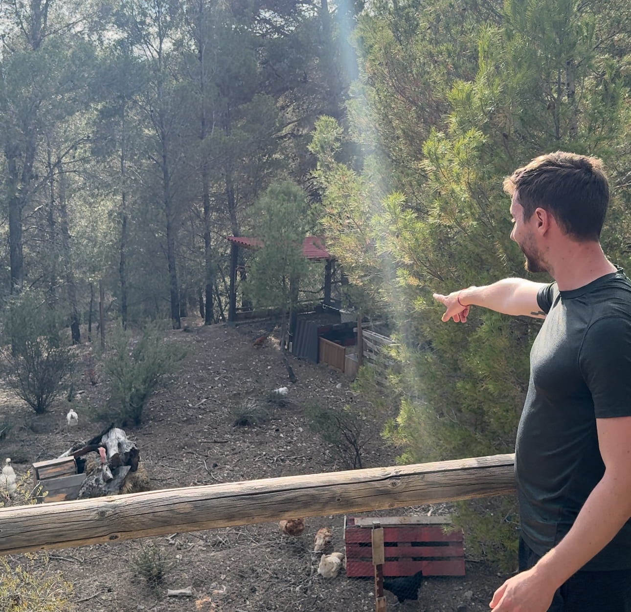 Yurta Comunidad Valenciana - Descubriendo Viajes (2)