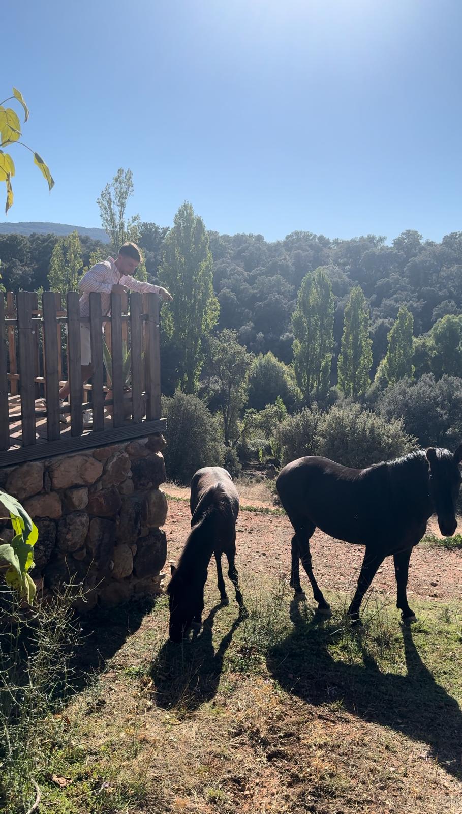 Cork Valley reseñas - Descubriendo Viajes (1)
