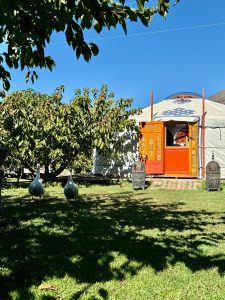 El Jardin de las delicias - Cabaña romantica cerca de Madrid - Descubriendo Viajes (4)