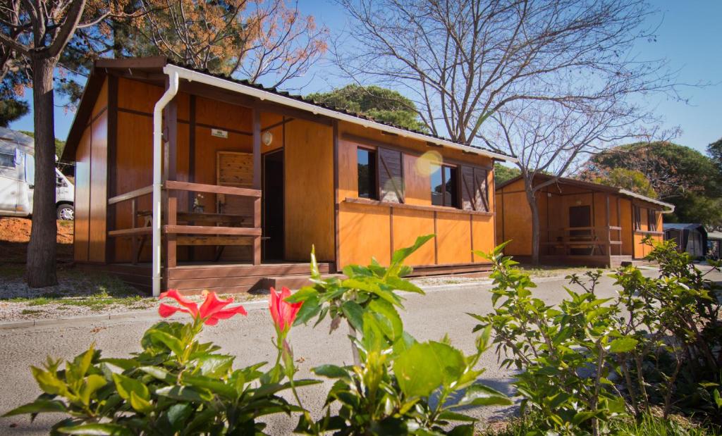 camping familiar cabopino marbella - descubriendo viajes (1)