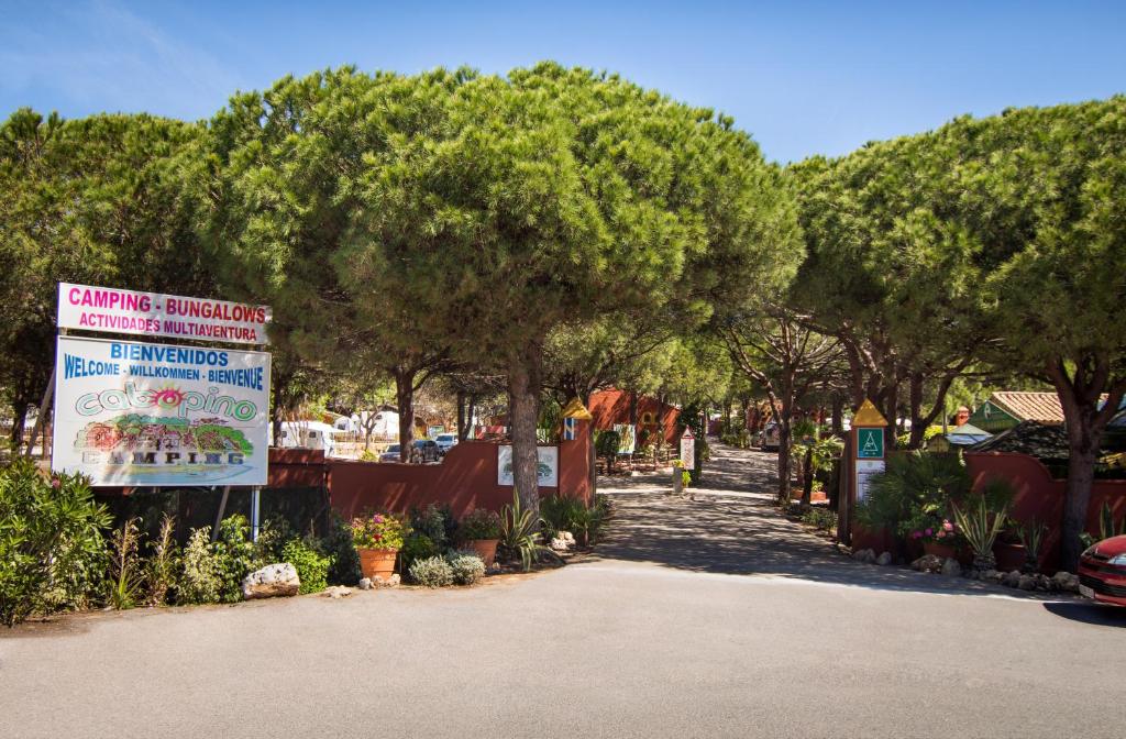 camping familiar cabopino marbella - descubriendo viajes (2)