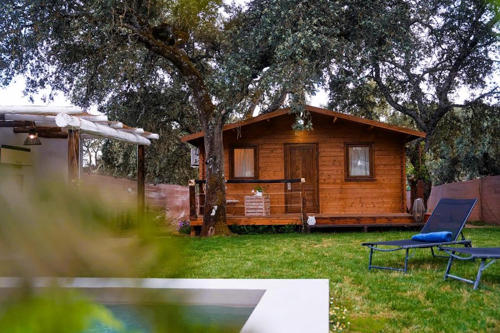 Cabaña Rural El Arbol - Andalucia - Descubriendo Viajes (1)