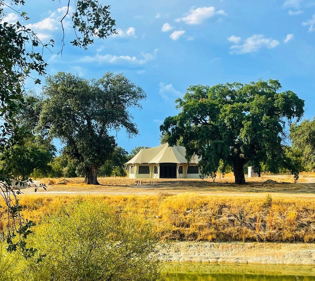 Burbuja de El Toril Glamping entre los arboles