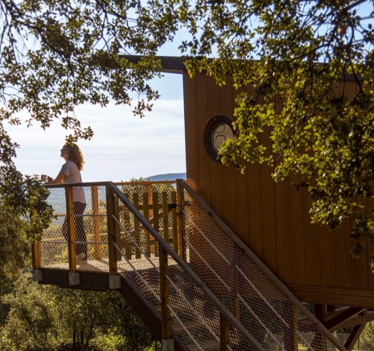 casas en los arboles monteholiday descubriendo viajes