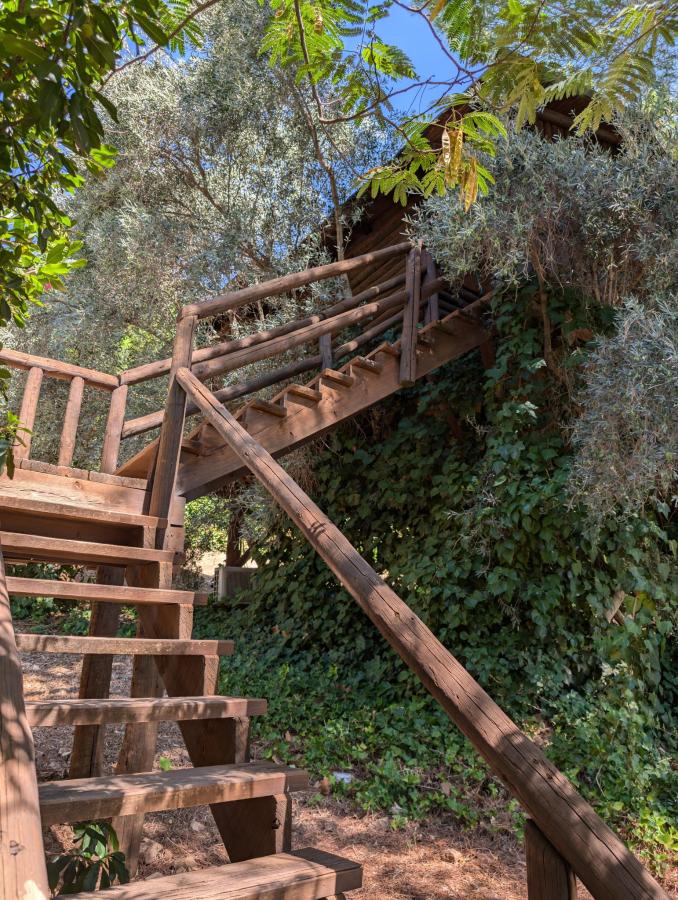 el mirador de la mancha cabaña en el arbol