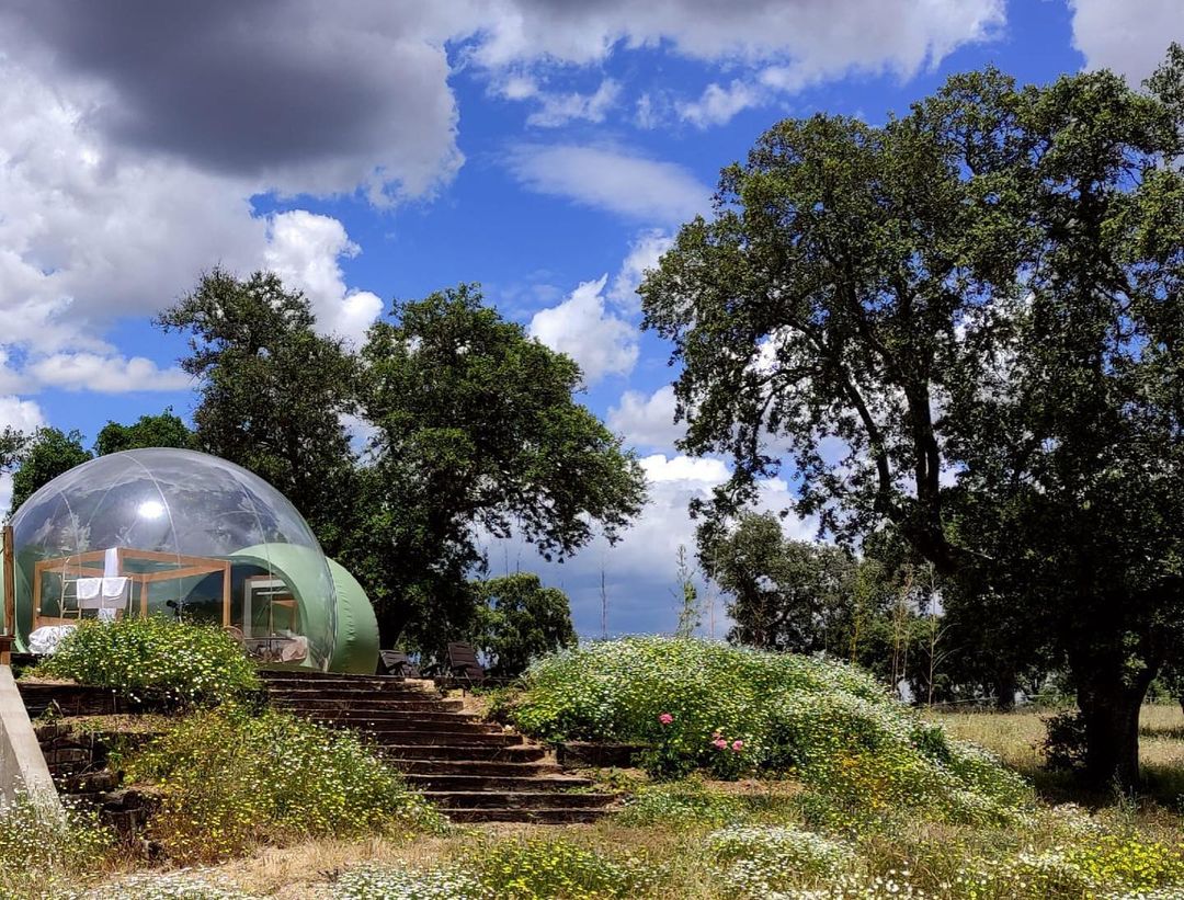 glamping el toril burbuja premium - descubriendo viajes