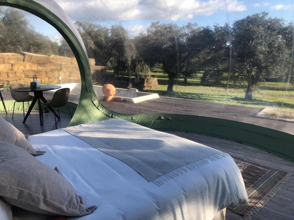 glamping el toril - descubriendo viajes (2)
