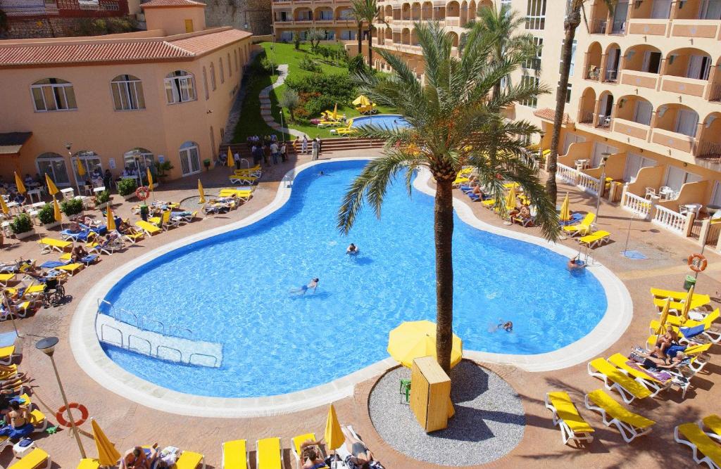 hotel bahia tropical - descubriendo viajes 3