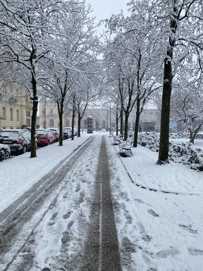 Parque Tomislava en invierno de 2024