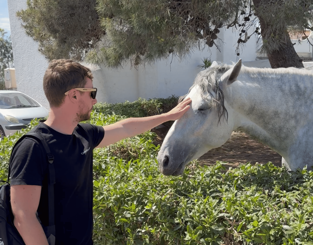 caballo devesa - descubriendo viajes