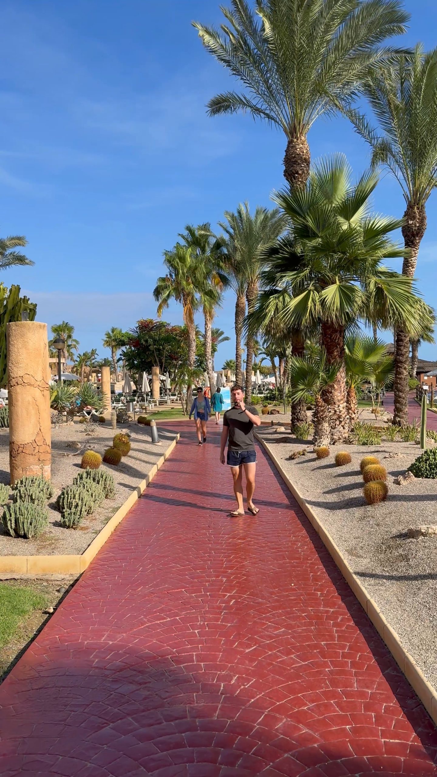 jardines Zimbali playa - descubriendo viajes
