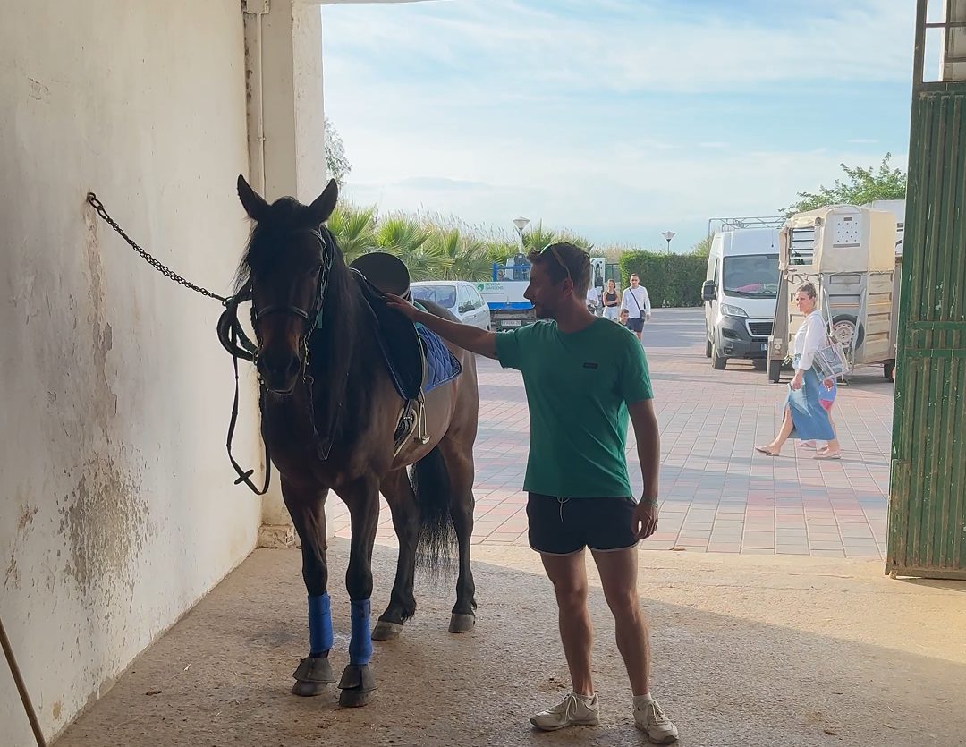 caballos 2 devesa garden - descubriendo viajes