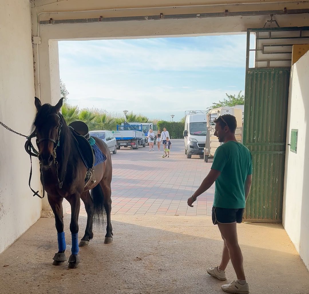 caballos devesa garden - descubriendo viajes