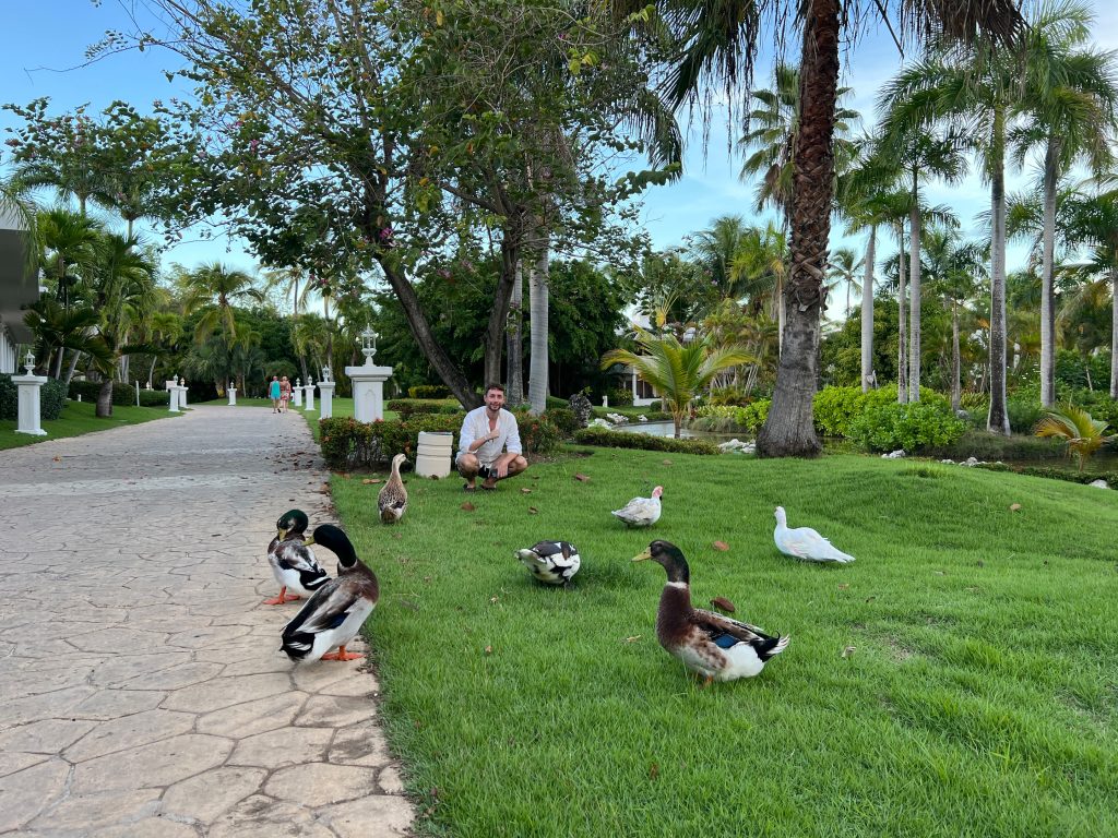 Foto en los jardines del hotel Melia Caribe, rodeado de animales