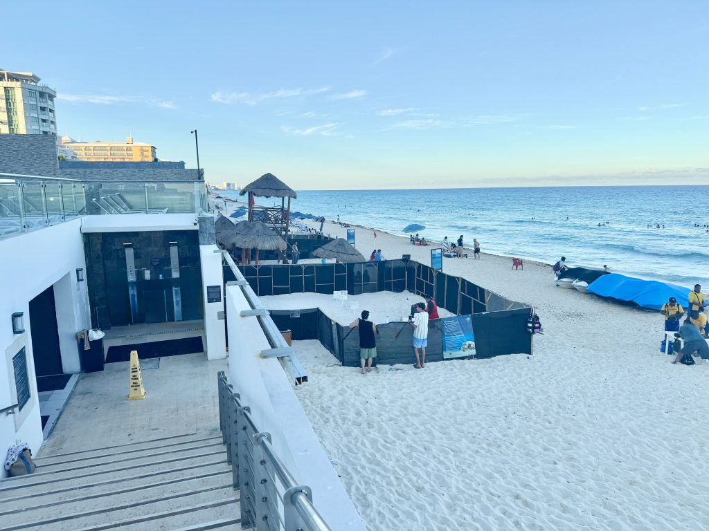 Hard Rock Descubriendo Viajes 6