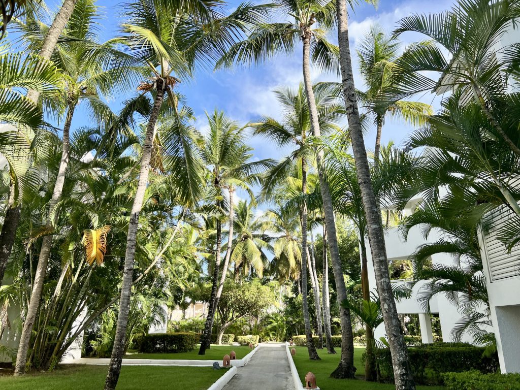 Zona común del Occidental Punta Cana entre los edificios de habitaciones