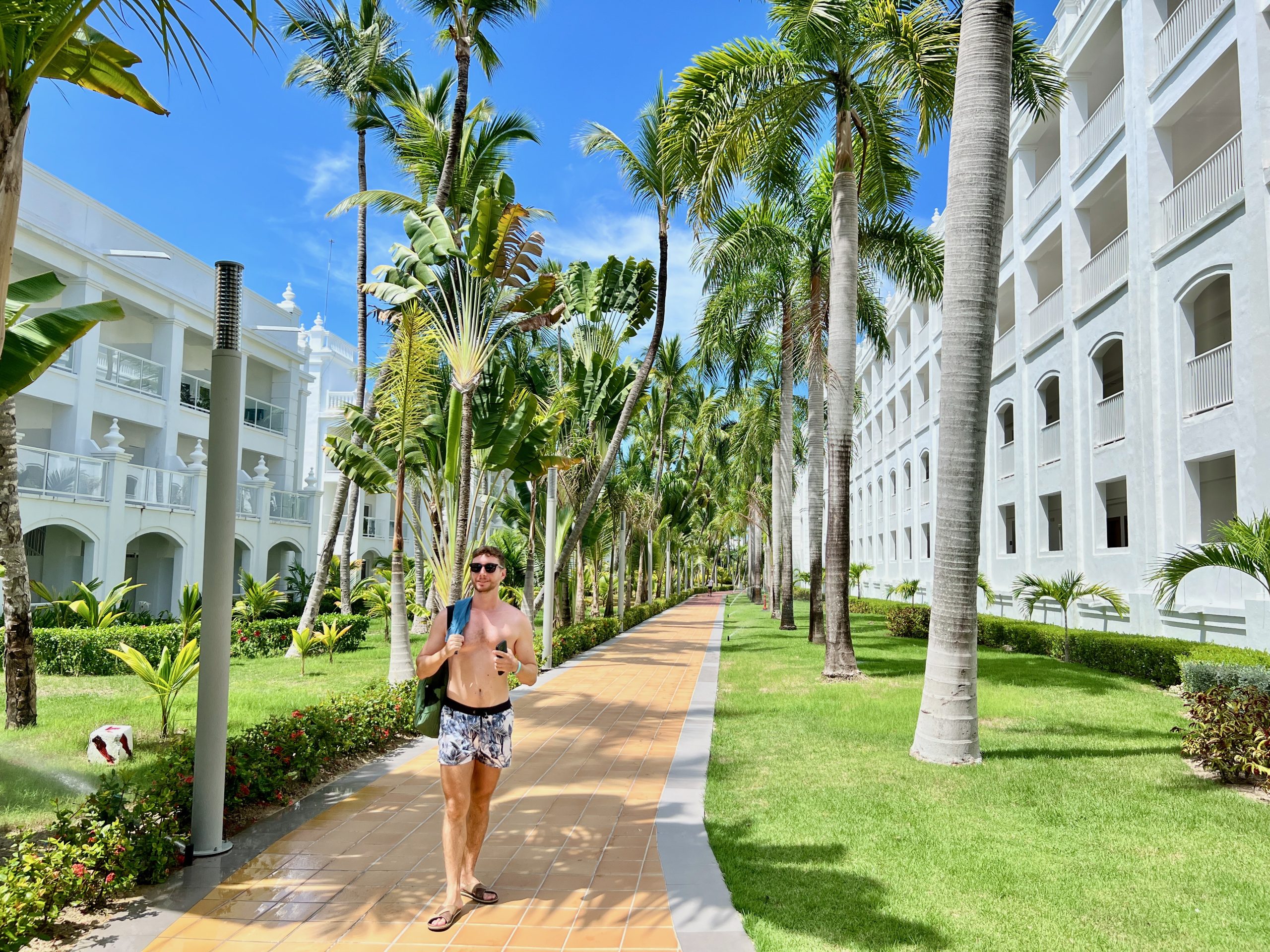 RIU Palace Bavaro pool