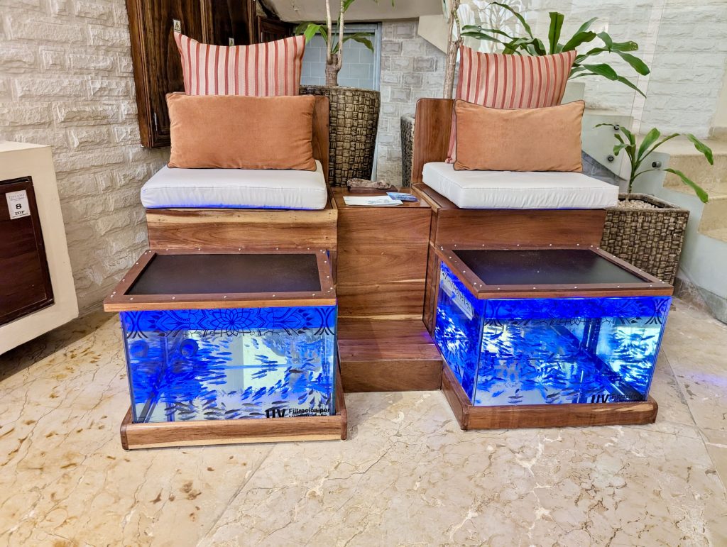 Tanques de ictioterapia del Spa Tropical del Dreams Riviera Cancún