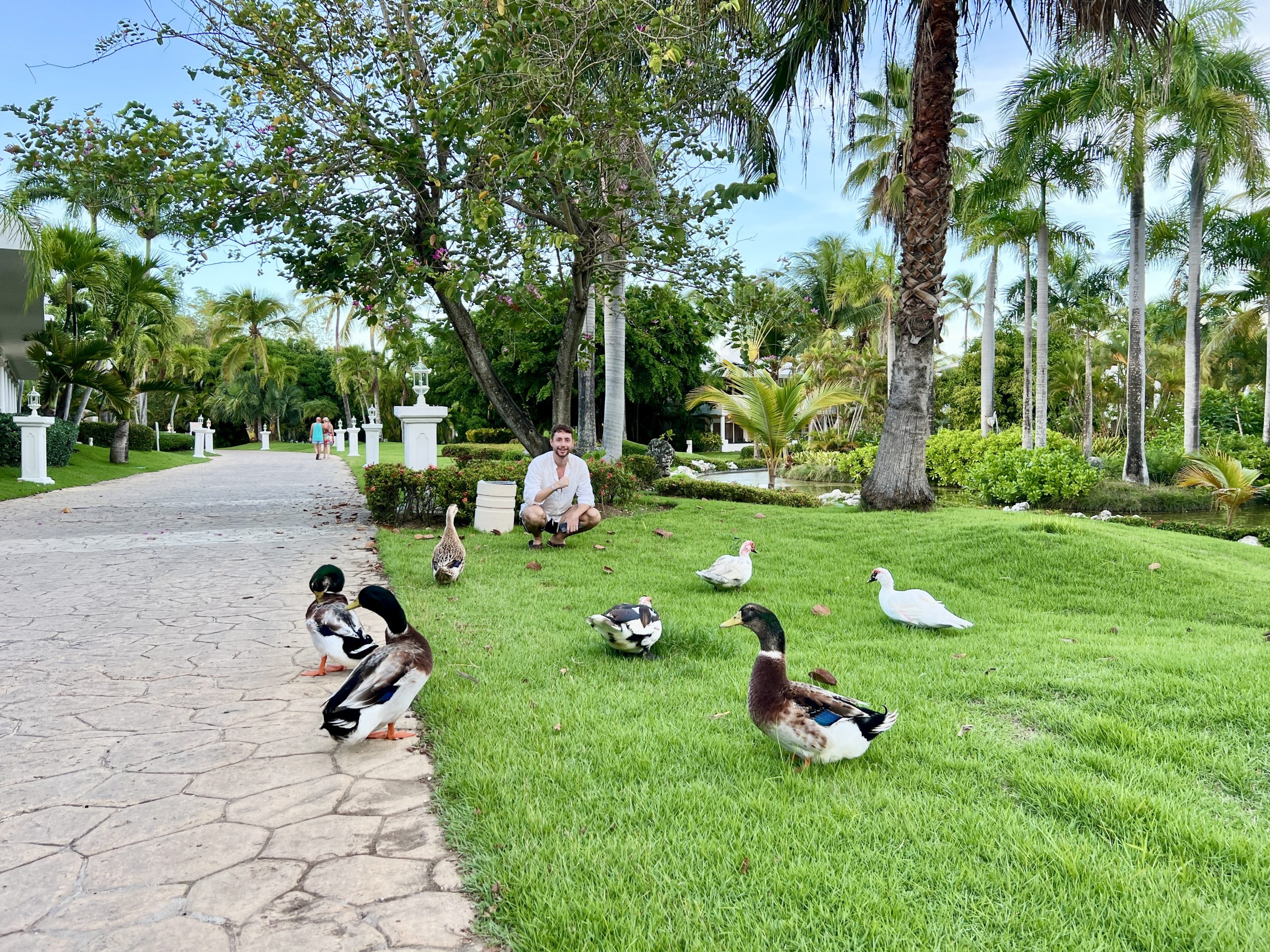 Jardines con patos del Meliá Punta Cana Beach
