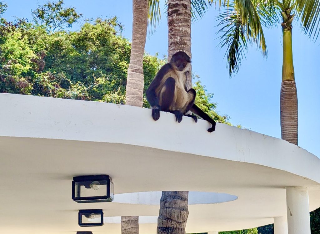 Oceans Riviera Discovering Stays