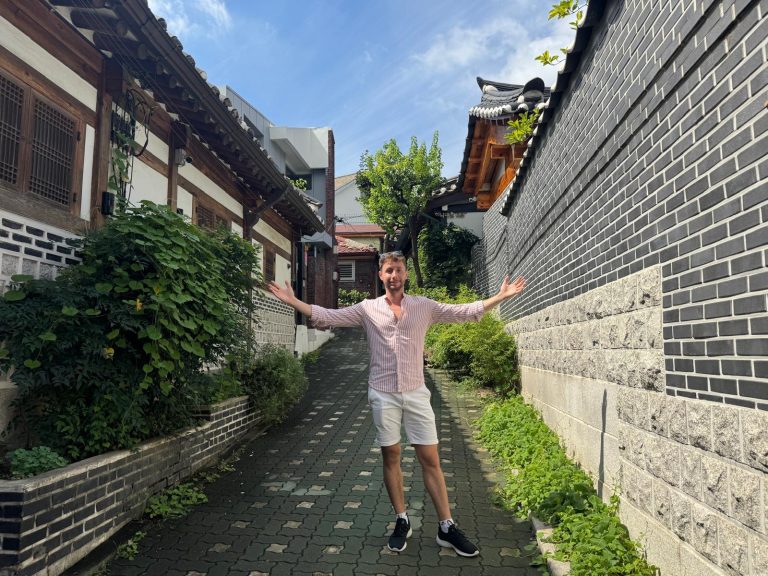 Traditional houses near the palace in Seoul
