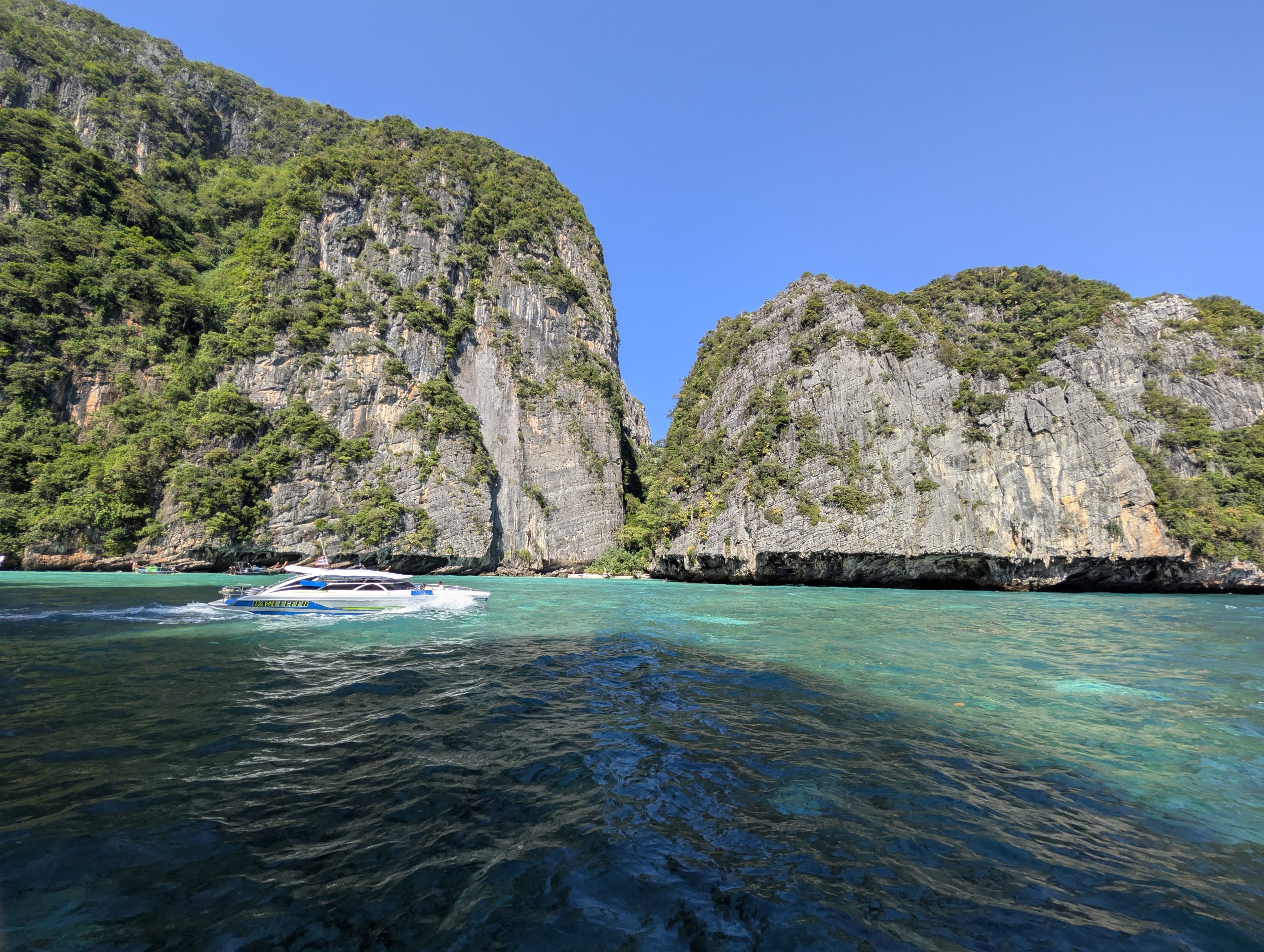 Monos en Phi Phi