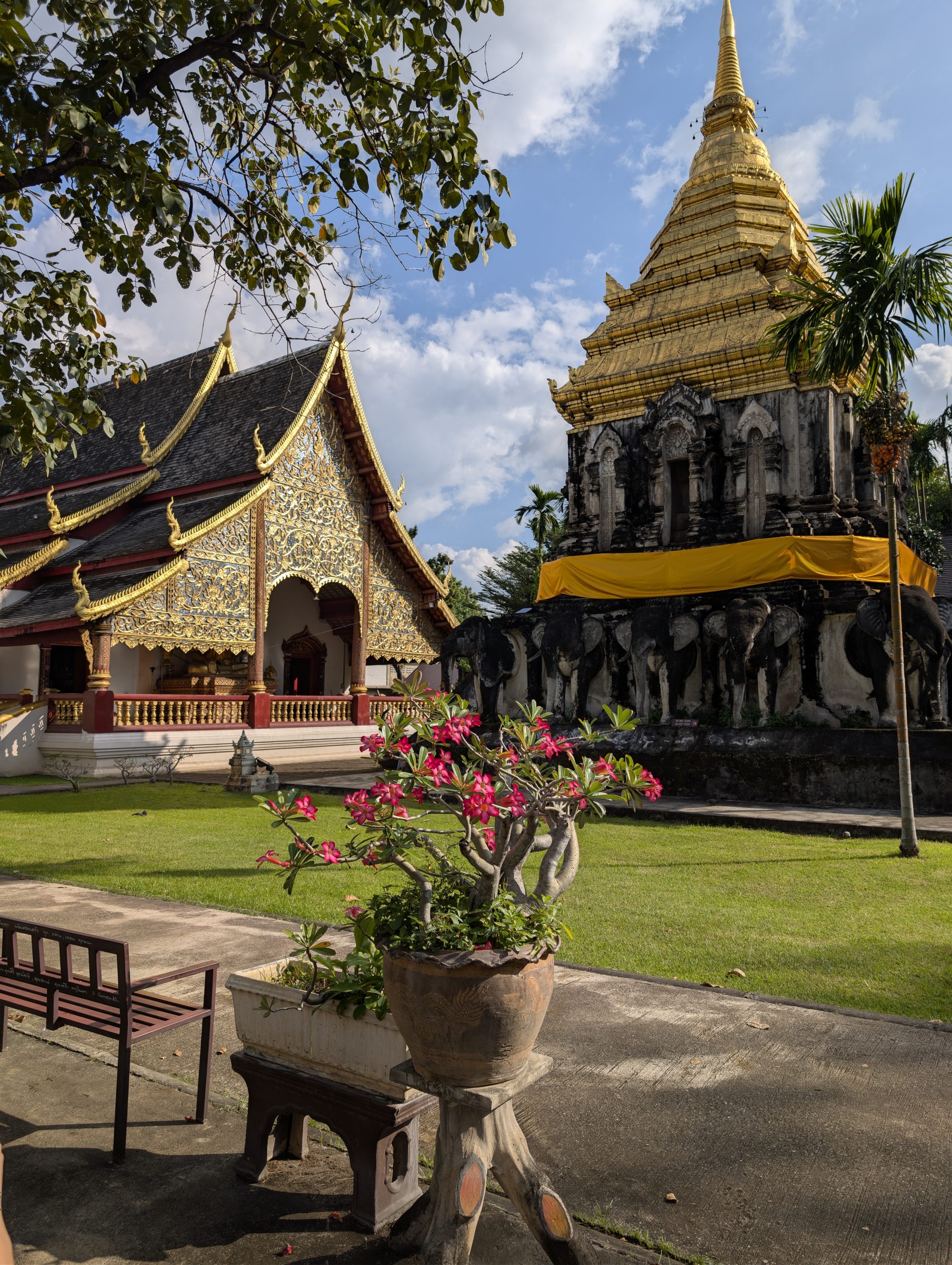 Elefantes Wat Chiang Man