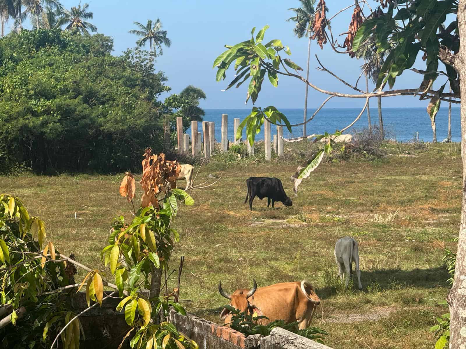 Parque público Long Beach