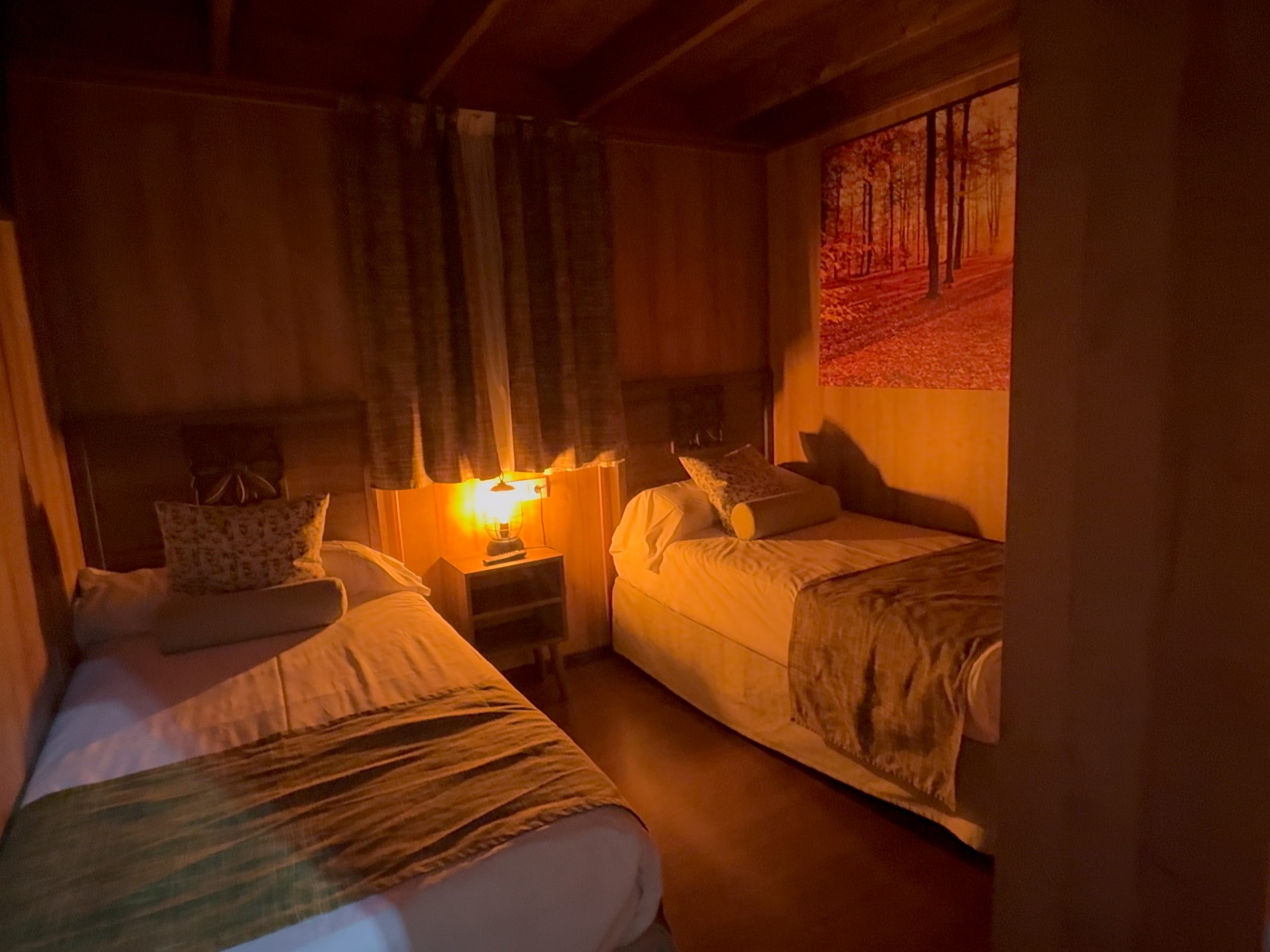 Beds in Magic Robin Hood