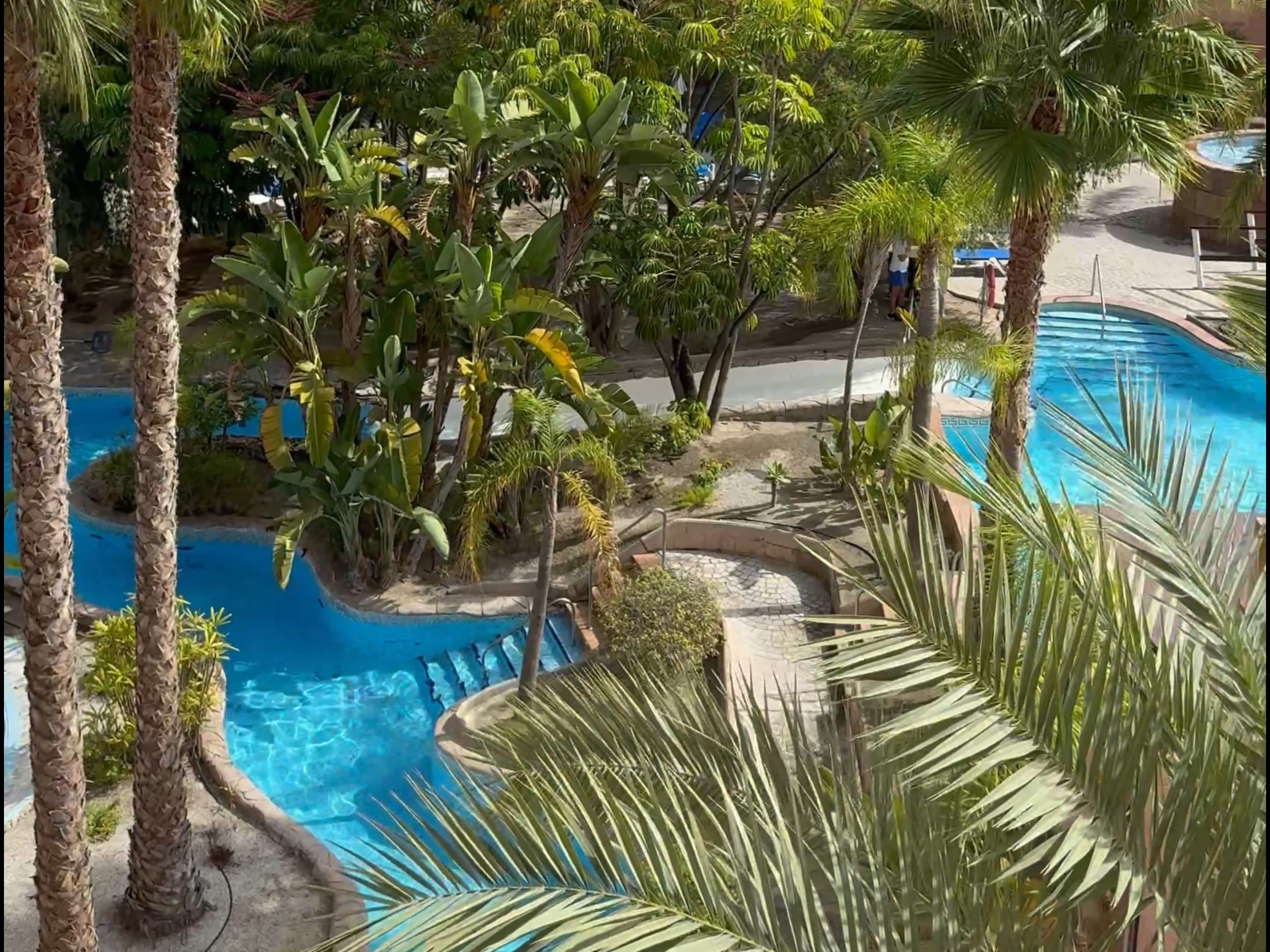tropical playa calida