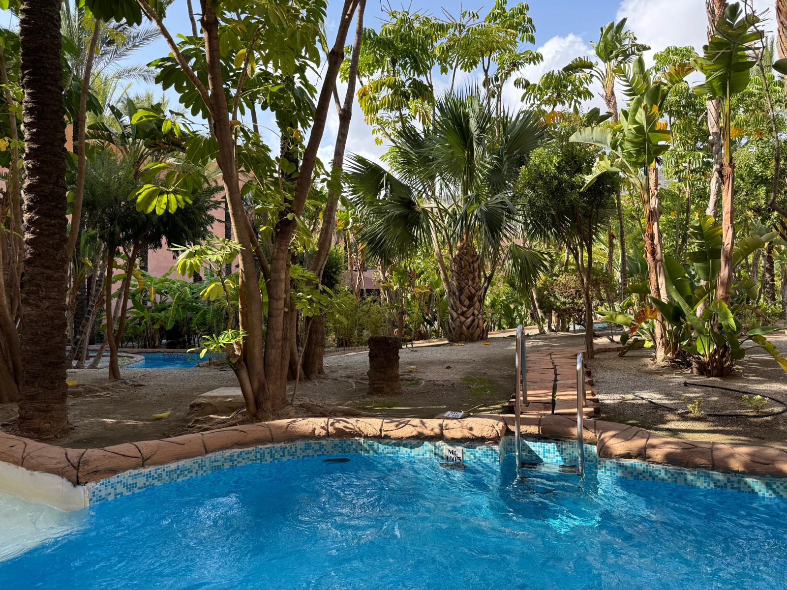 piscina tropical Playa Cálida