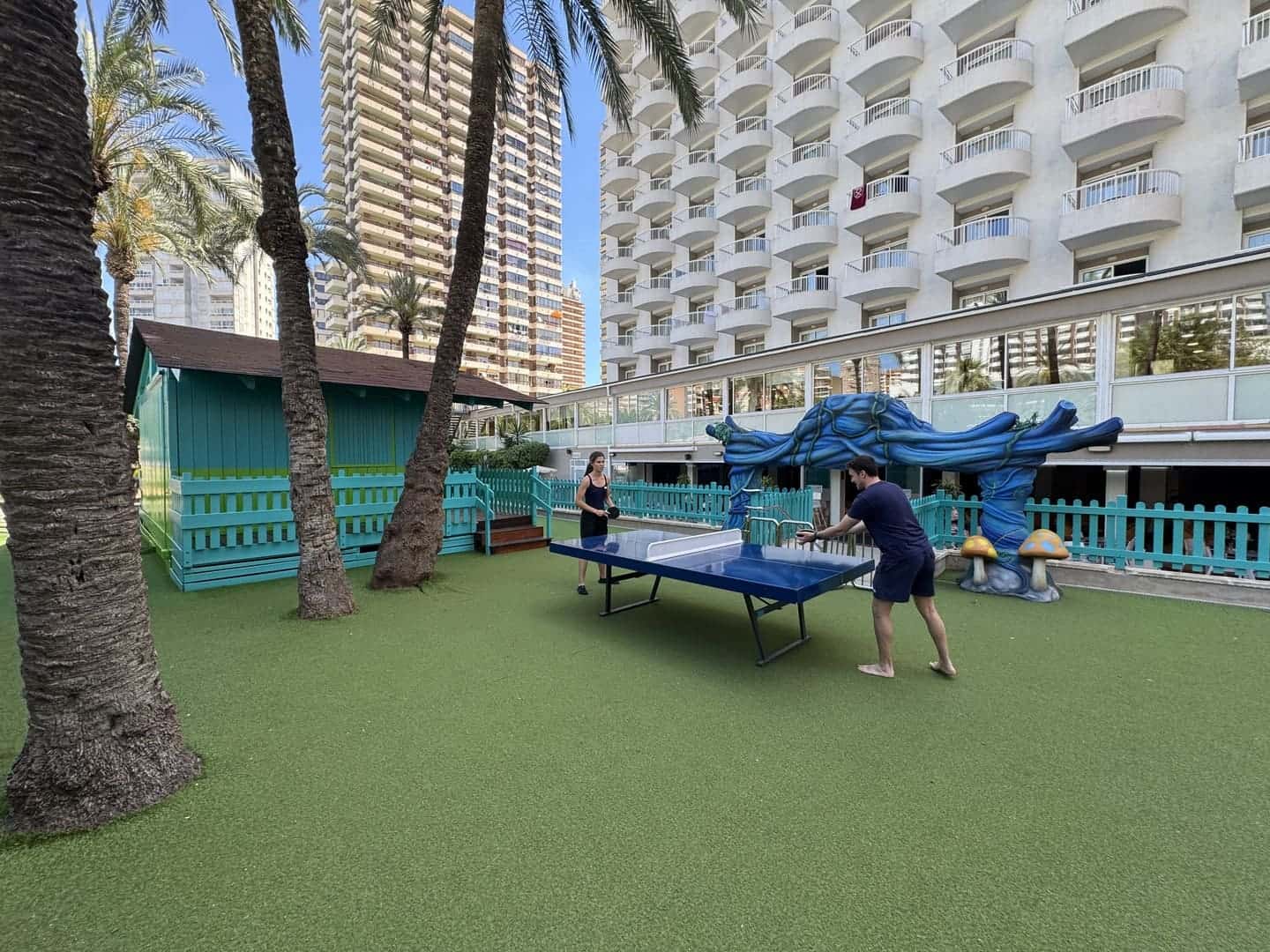 Sol Pelicanos Ocas ping pong