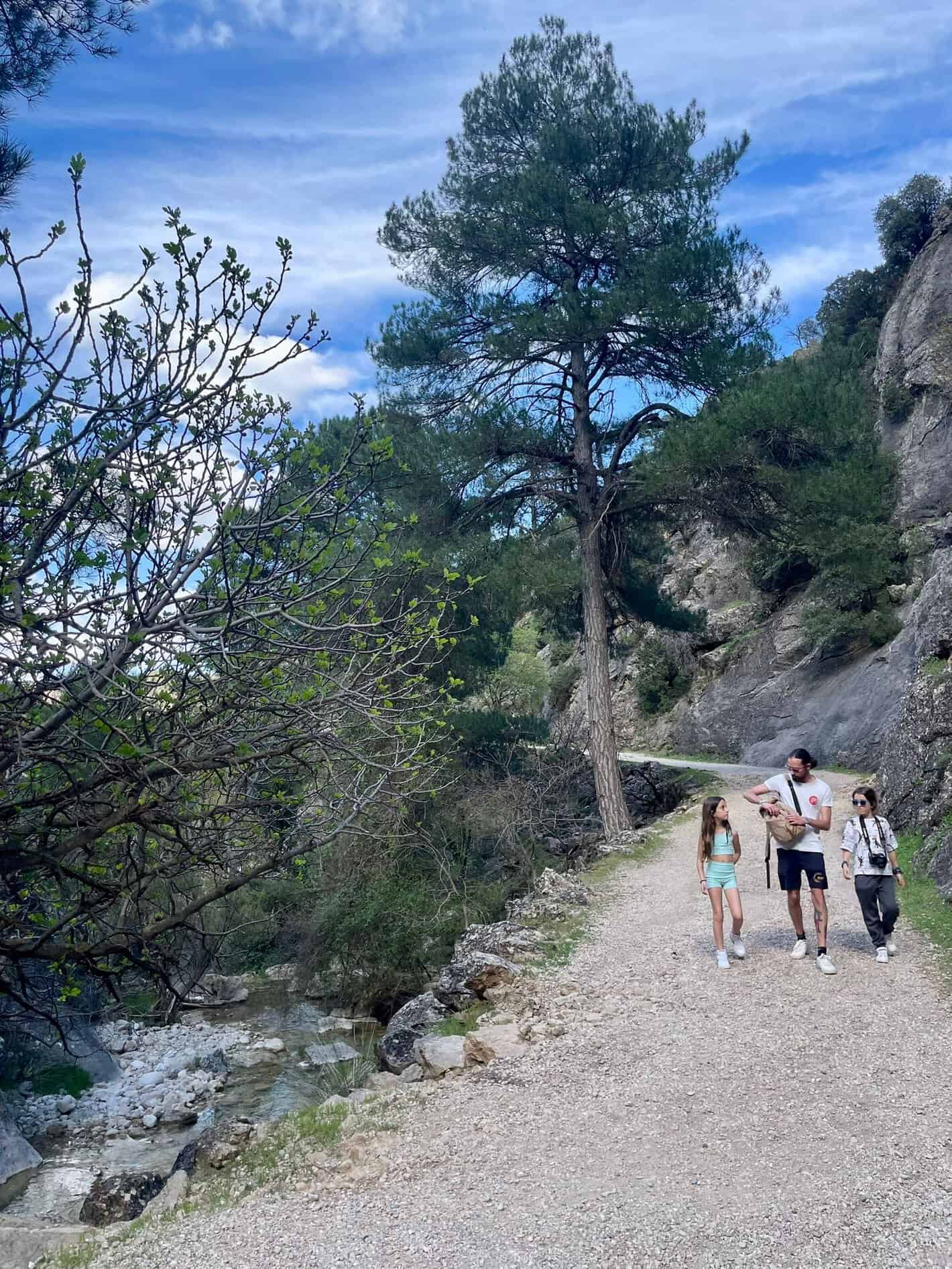 camino-arroyo-de-guazalamanco