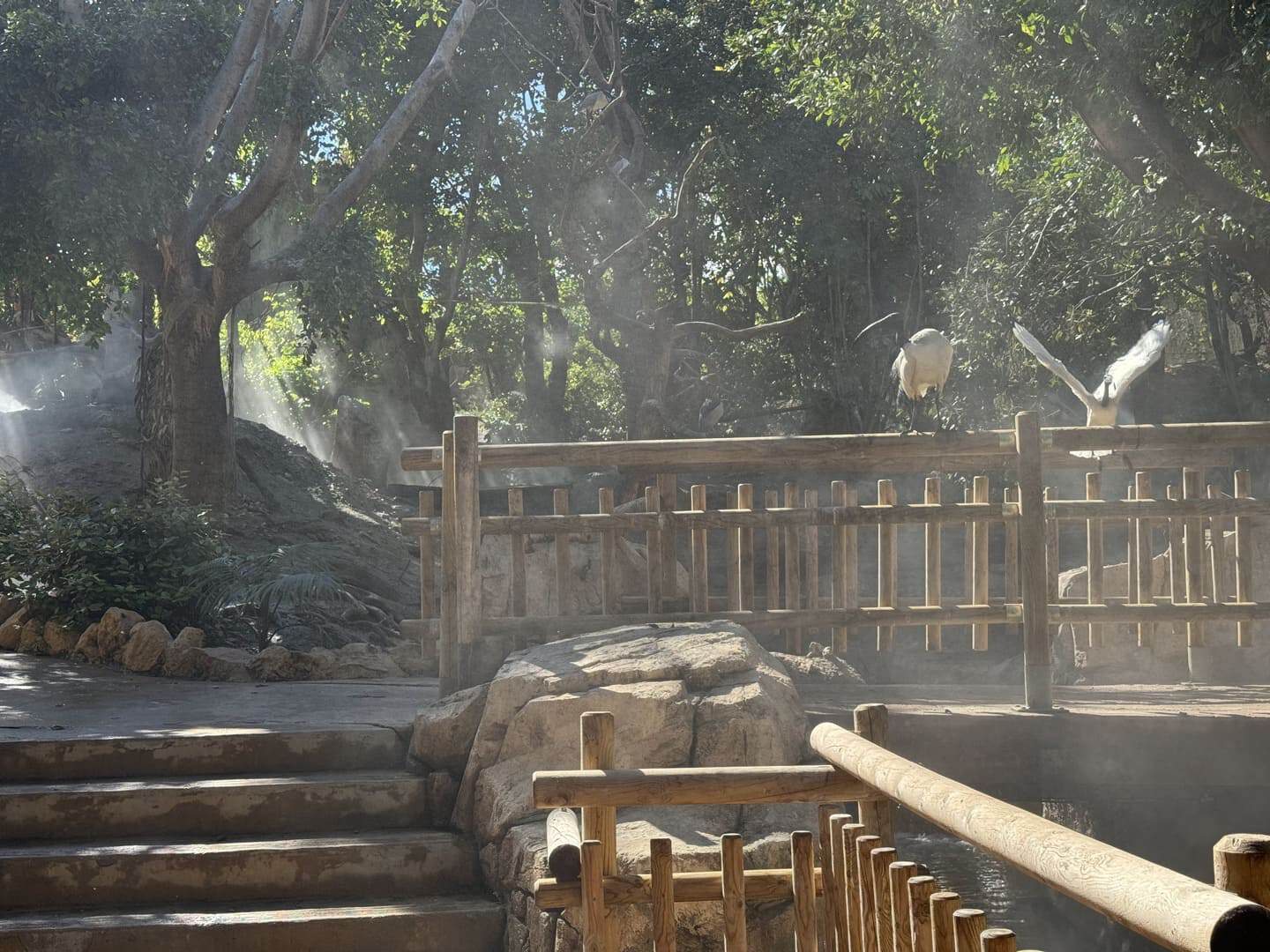 magic-pirates-island-terra-natura-006