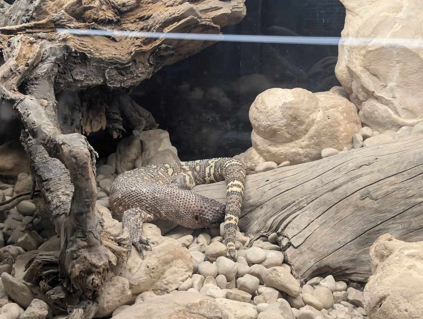 magic-pirates-island-terra-natura-015