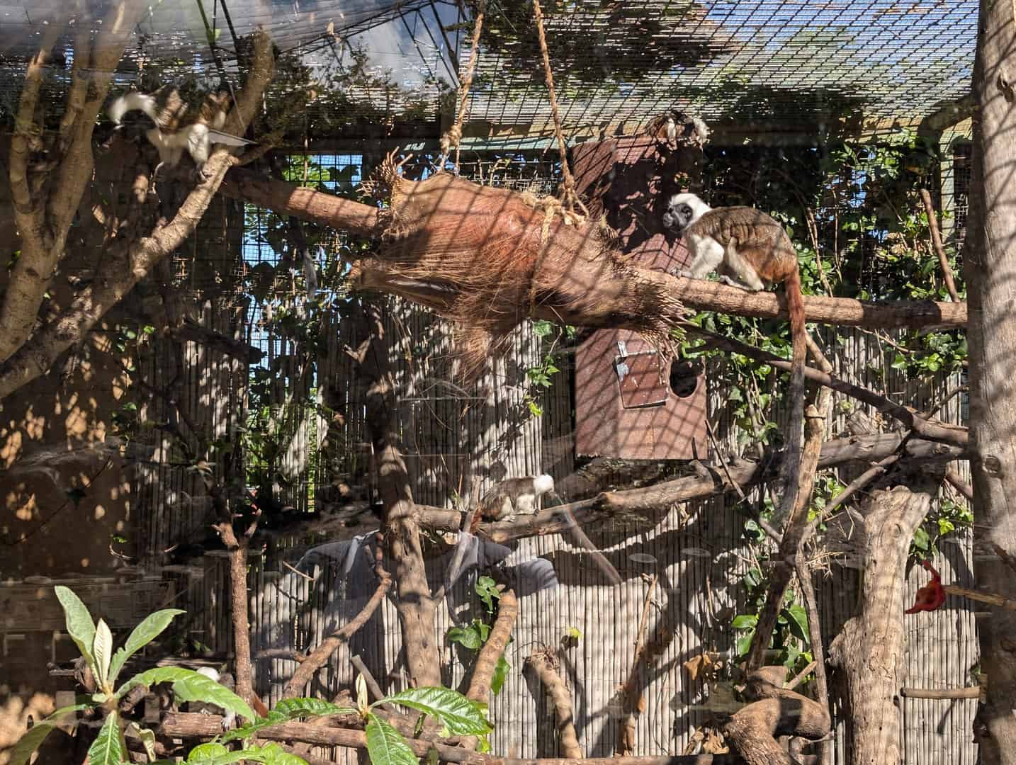 magic-pirates-island-terra-natura-027