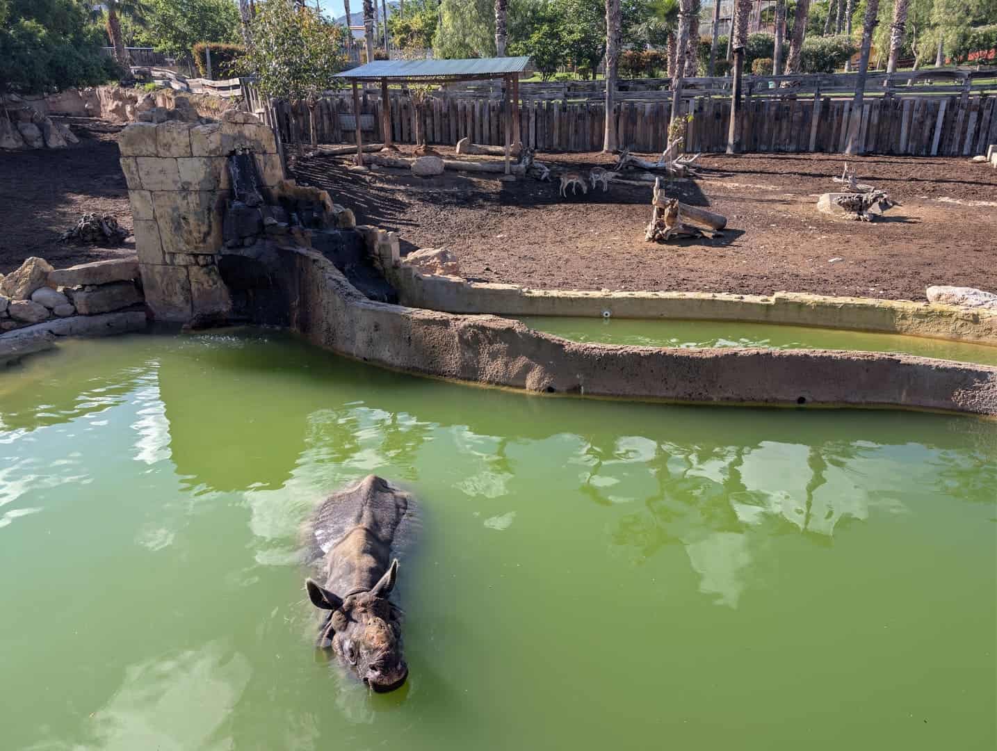 magic-pirates-island-terra-natura-034