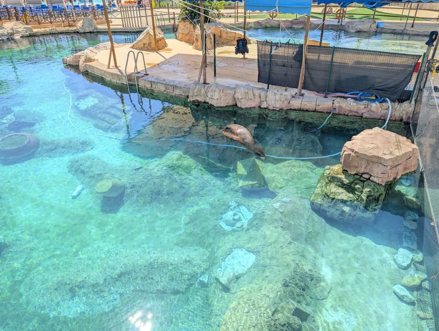 magic-pirates-island-terra-natura-041