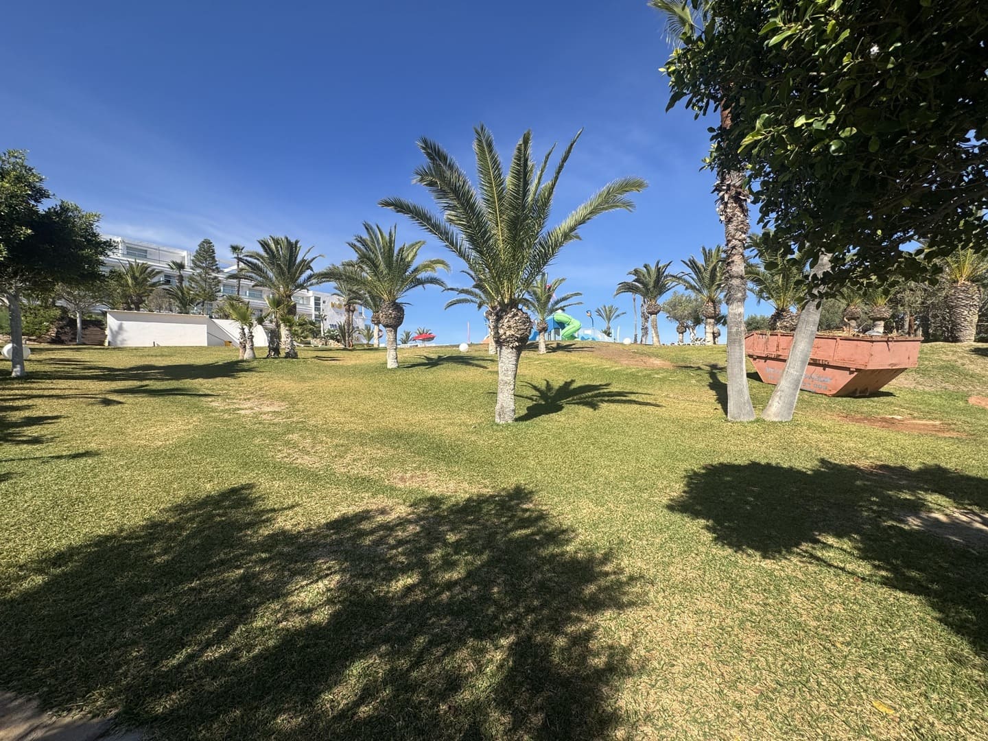 Zona de césped y palmeras del Servigroup Marina Playa