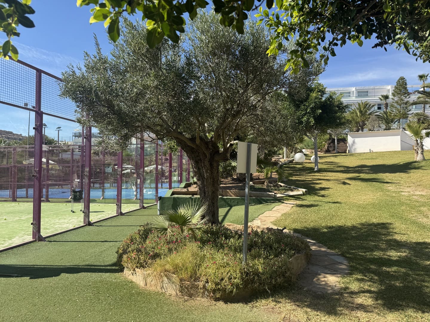 Pistas de pádel del Servigroup Marina Playa