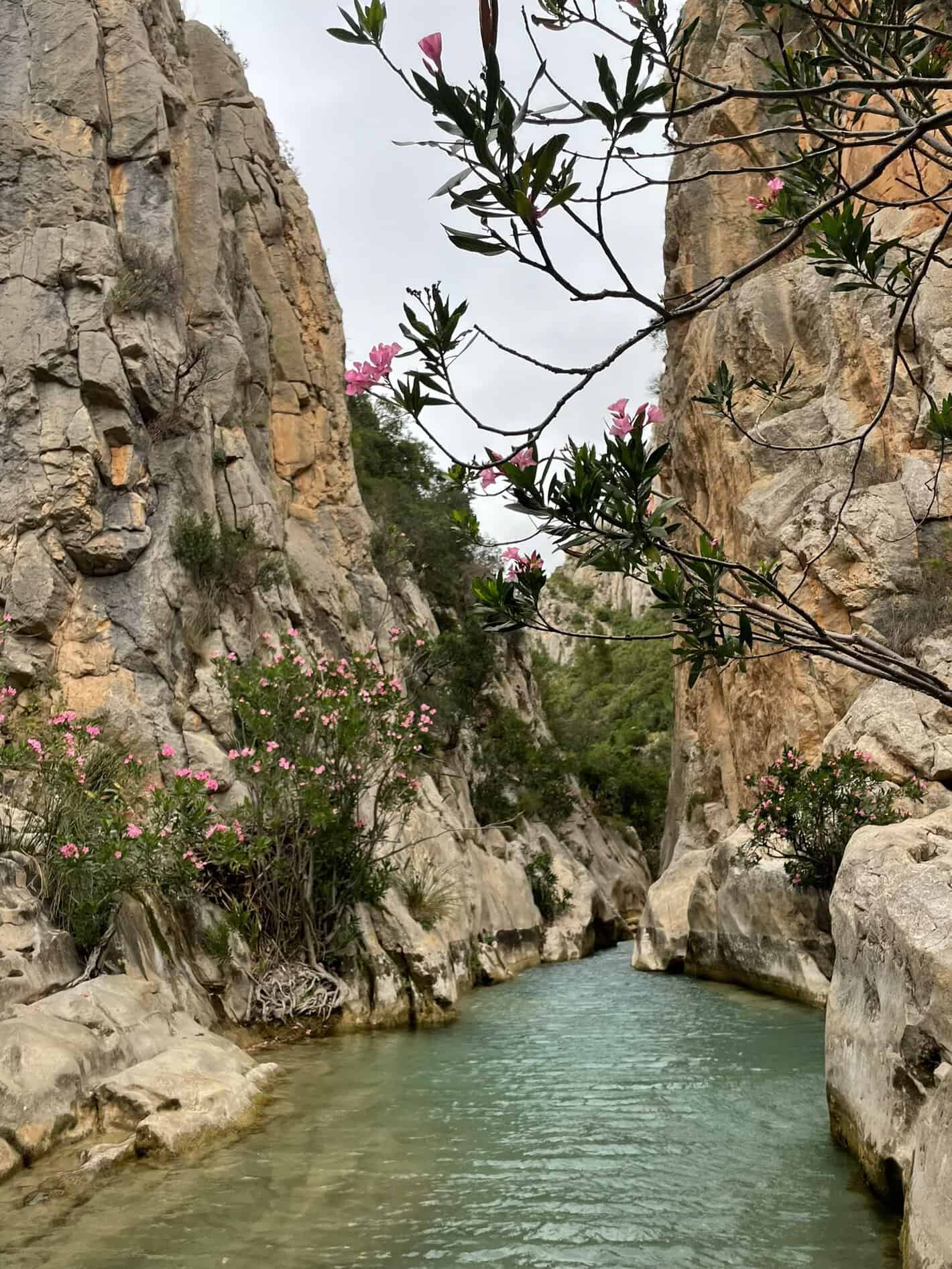 Gargantas y poza de aguas cristalinas en las Fuentes del Algar