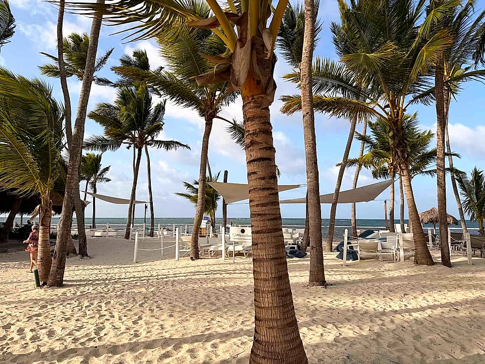 Entrada a la playa del Catalonia Royal Bávaro con vegetación