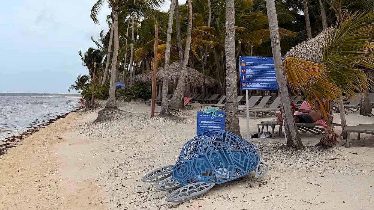 Playa del Catalonia Royal Bávaro en Cabeza de Toro