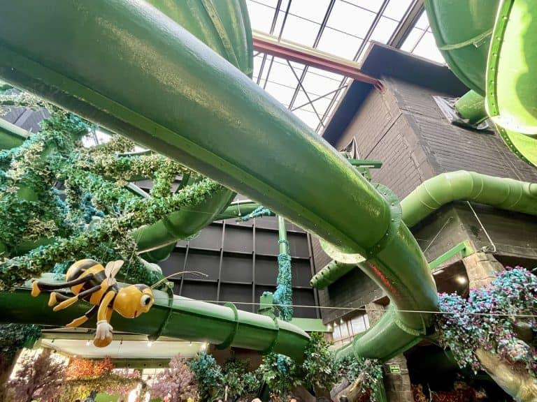 Interior acristalado del Jardín Encantado de Magic World con estructuras verdes