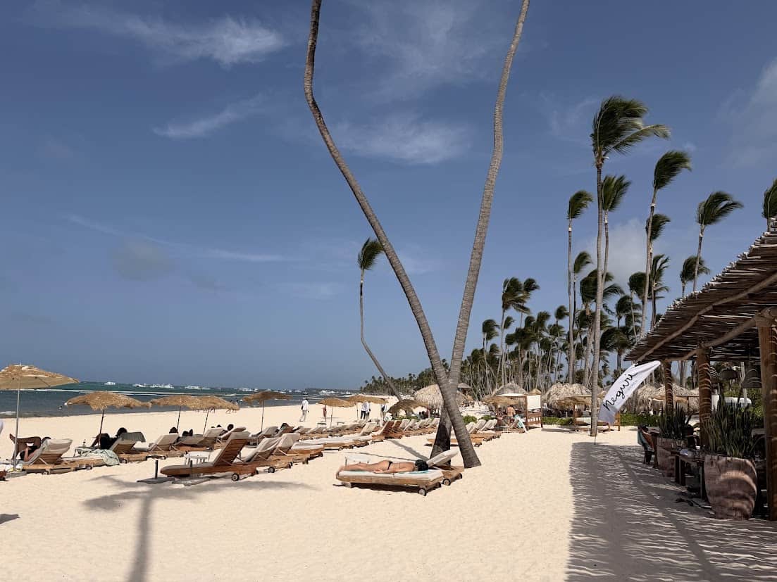 Playa del ZEL Punta Cana con palmeras