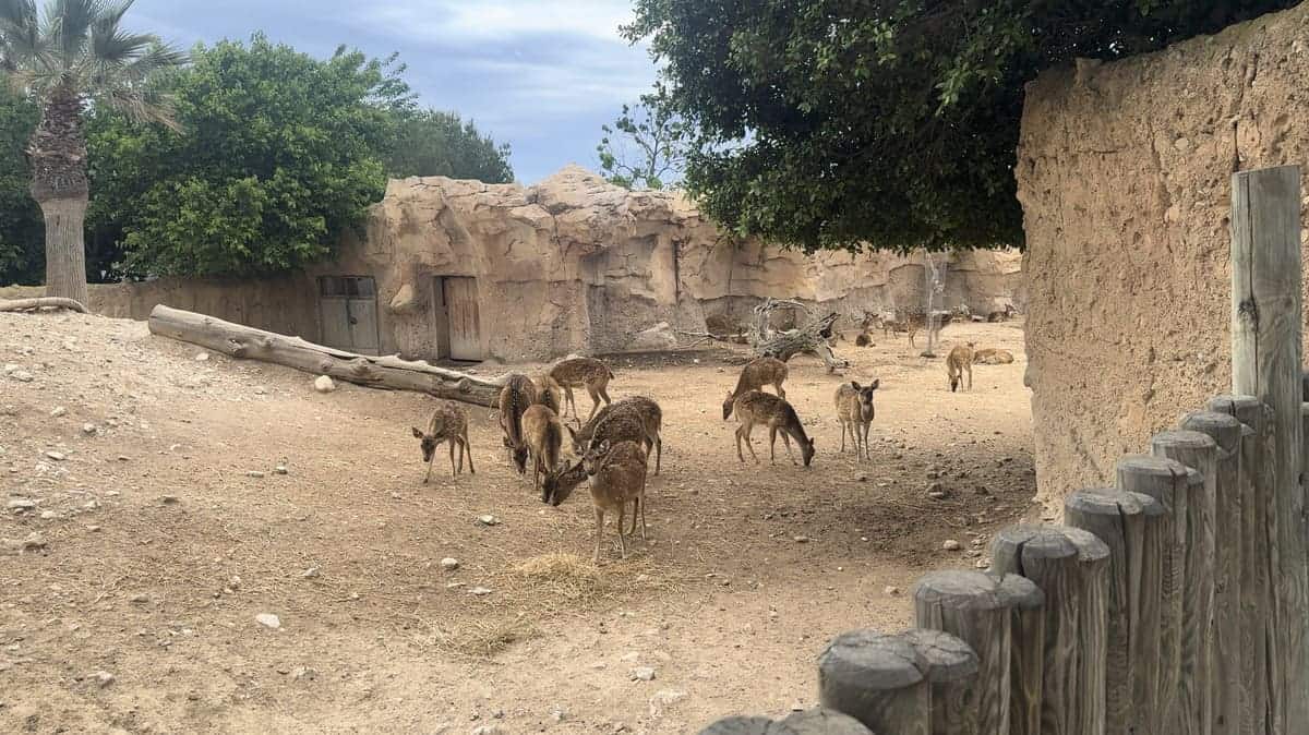 zoo-magic-natura-descubriendo-viajes-2