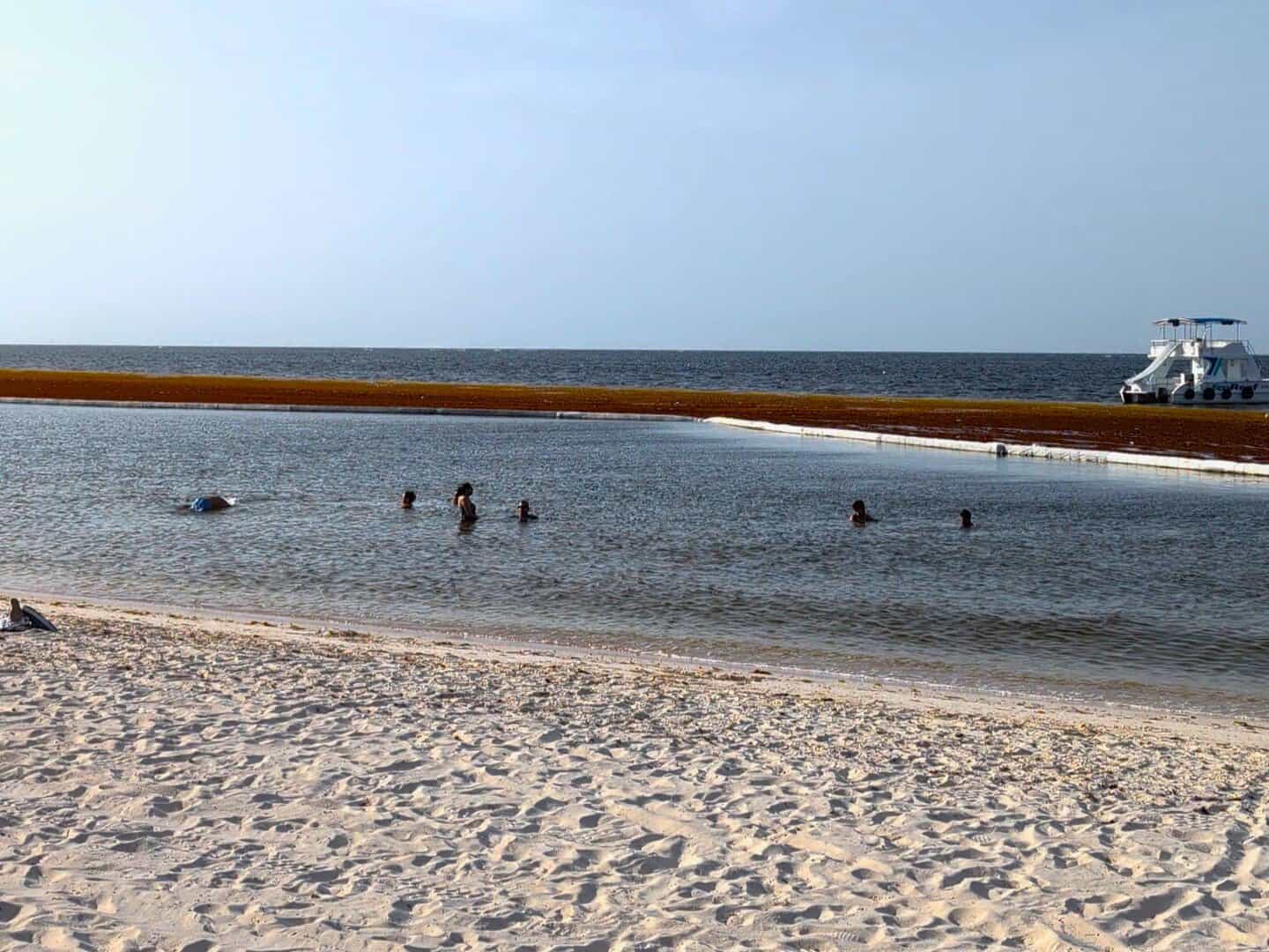 Barrera flotante conteniendo el sargazo en Cabeza de Toro, en julio