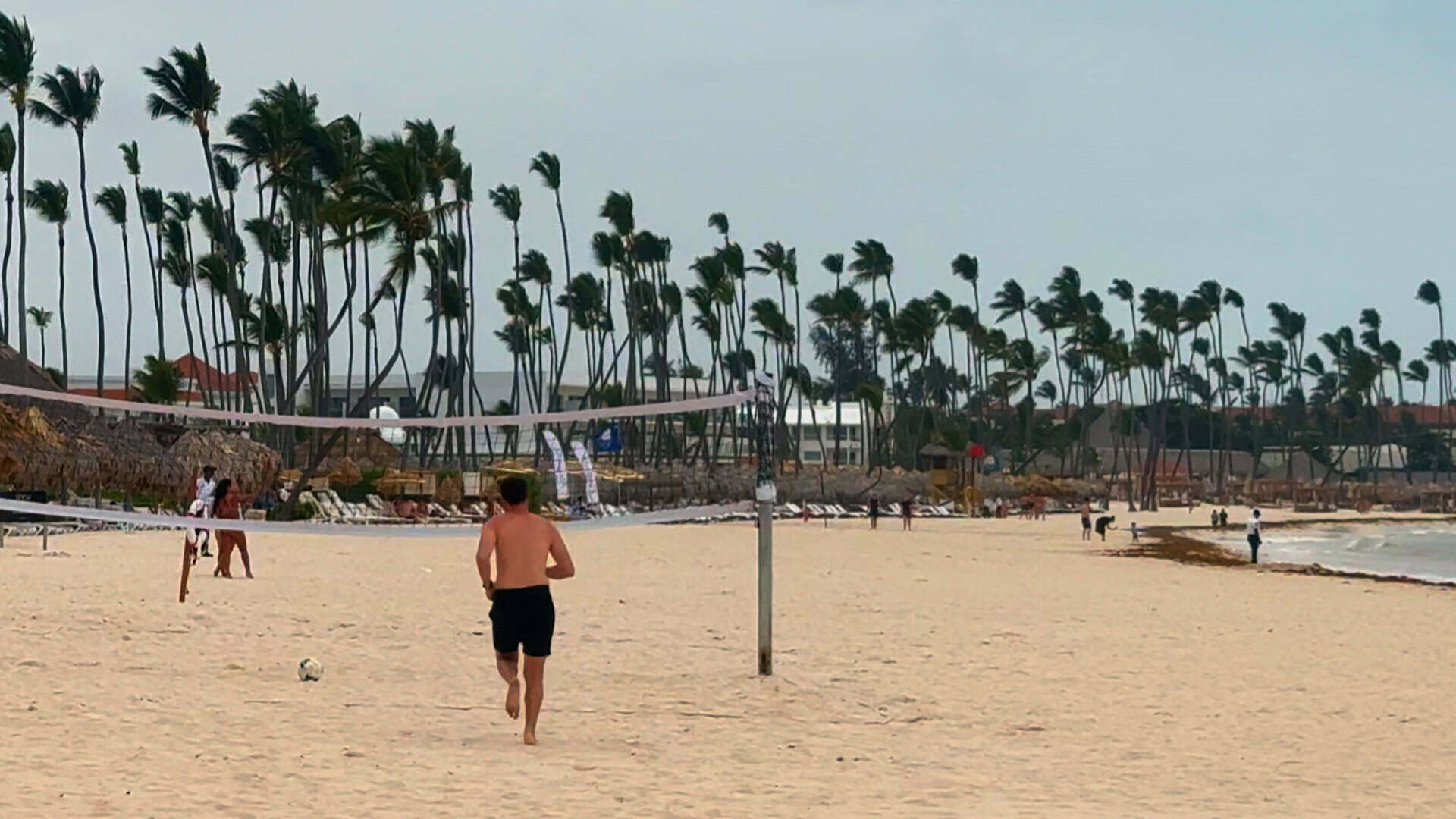 Sargazo en la orilla de la playa del Meliá Caribe en julio