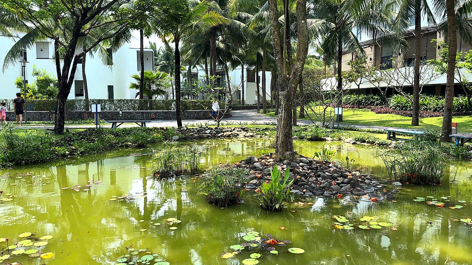 Estanque y jardines del Meliá Danang