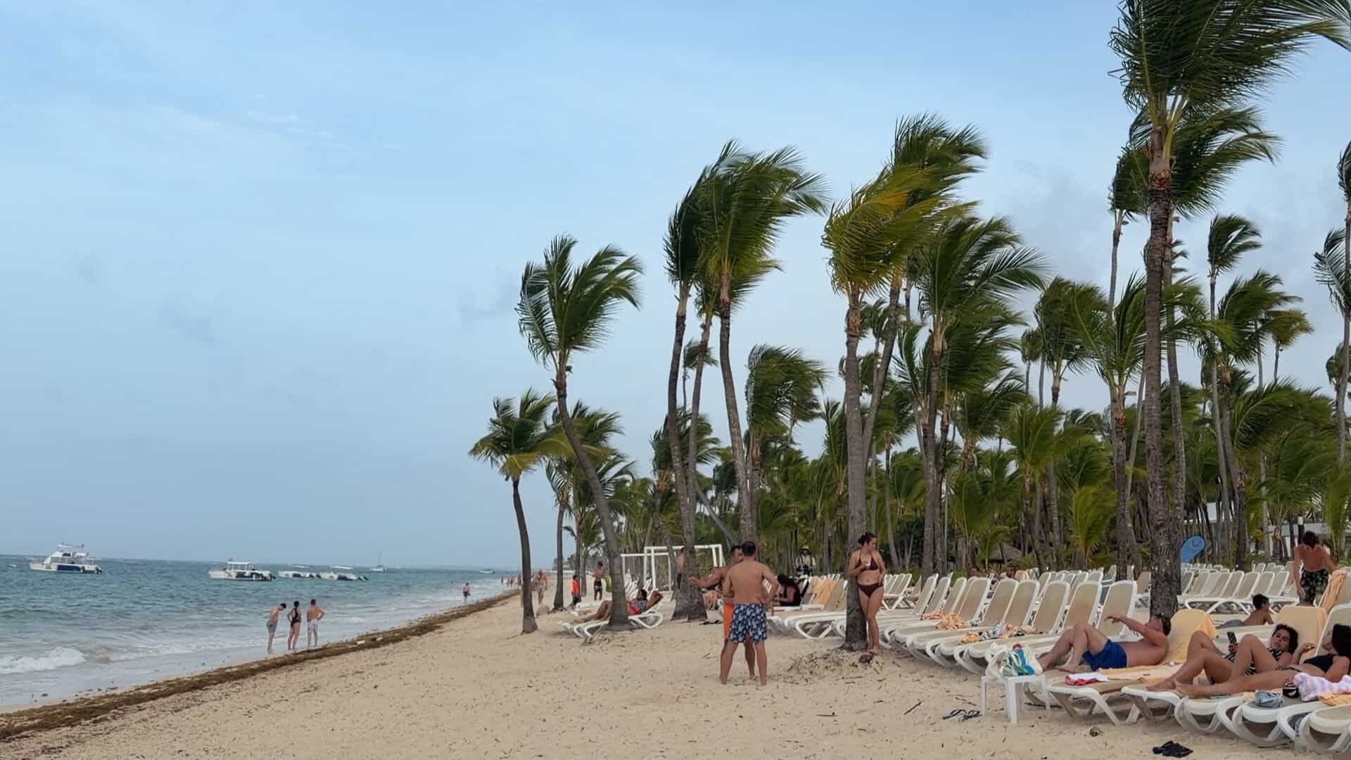 Playa de Punta Cana en verano con sargazo en la orilla